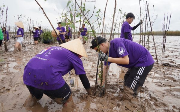 FedEx trồng 100 cây xanh và phục hồi rừng ngập mặn tại Việt Nam