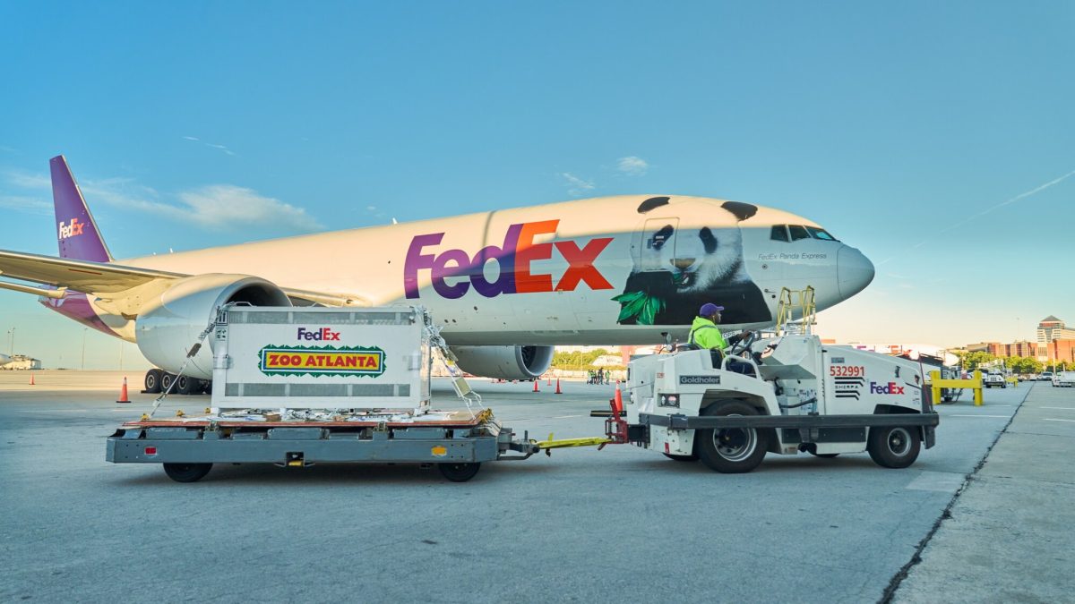 FedEx vận chuyển gấu