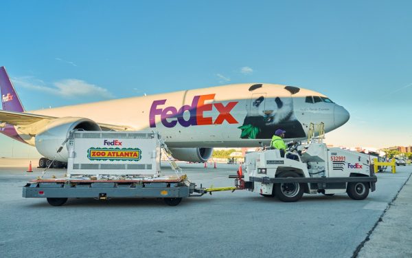 FedEx vận chuyển gấu trúc từ Thành Đô đến Atlanta thế nào?
