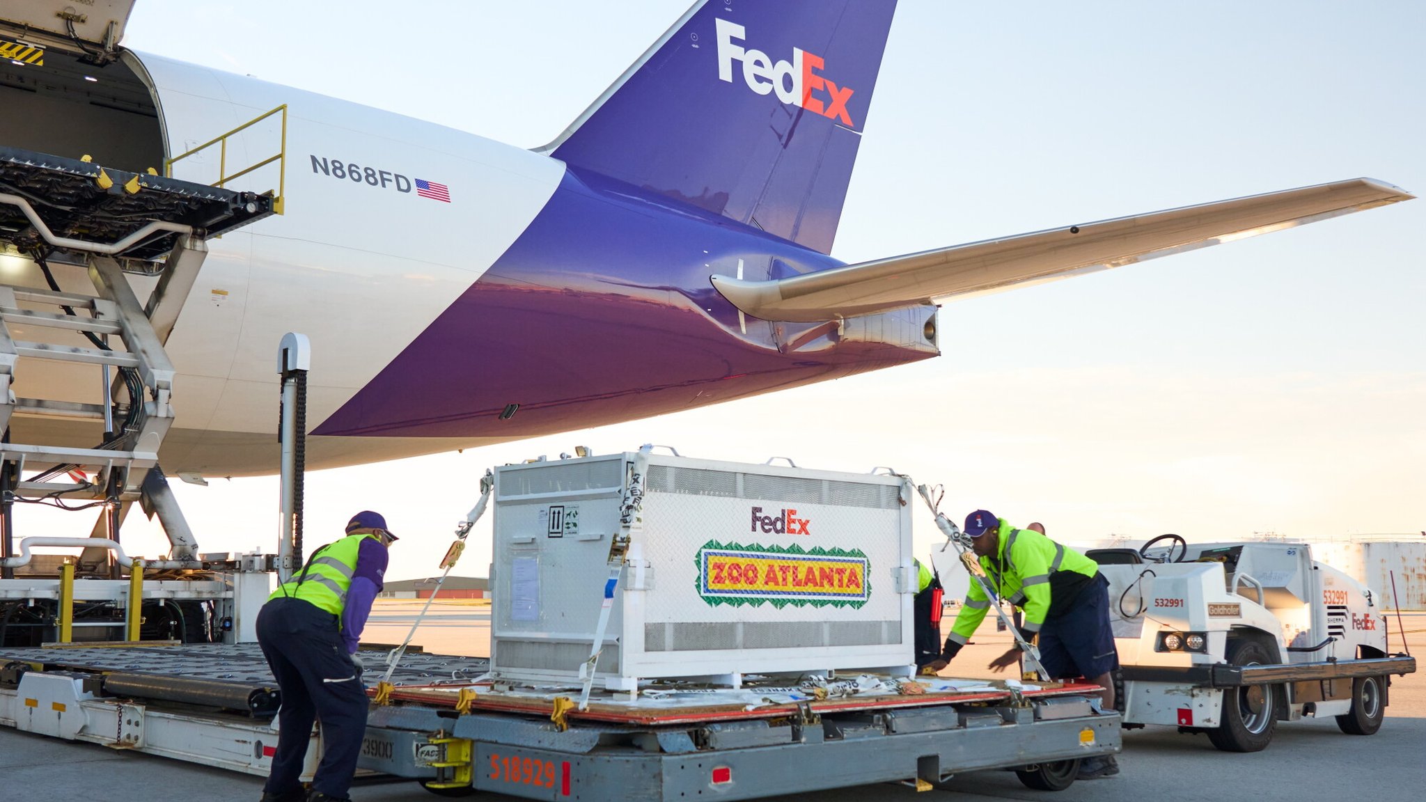 Nhân viên mặt đất xử lý lồng vận chuyển chuyên dụng sau khi máy bay hạ cánh — Ảnh: FedEx